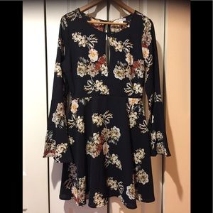 NWT~loveriche Fit and Flare Mini With Open Back